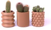 SmartLayers - Bloempot - Bloempot voor binnen - Ø 5,5cm - Hout - landelijk - Biologisch materiaal - Ronde vormen