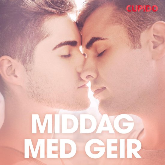 Cupido 192 Middag Med Geir Erotiska Noveller Ebook Cupido