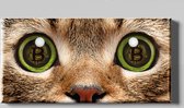 Bitcoin Kat CryptoArt 80x40cm| Cryptocurrency Digitaal Moderne Kunstwerk Wanddecoratie Canvas Schilderij met Dieren NFT art Ethereum