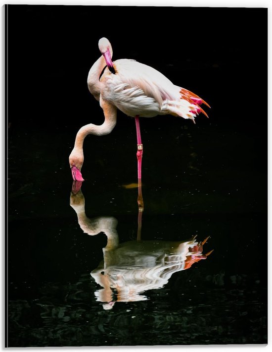 Dibond - Flamingo met Weerspiegeling in Water - 30x40cm Foto op Aluminium (Wanddecoratie van metaal)