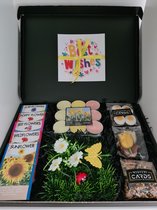 Lente Box | Bedankt Box | Vrolijke cadeaubox waar iedereen vrolijk van wordt | Mystery Card met persoonlijke online (video) boodschap | Haal de tuin naar binnen