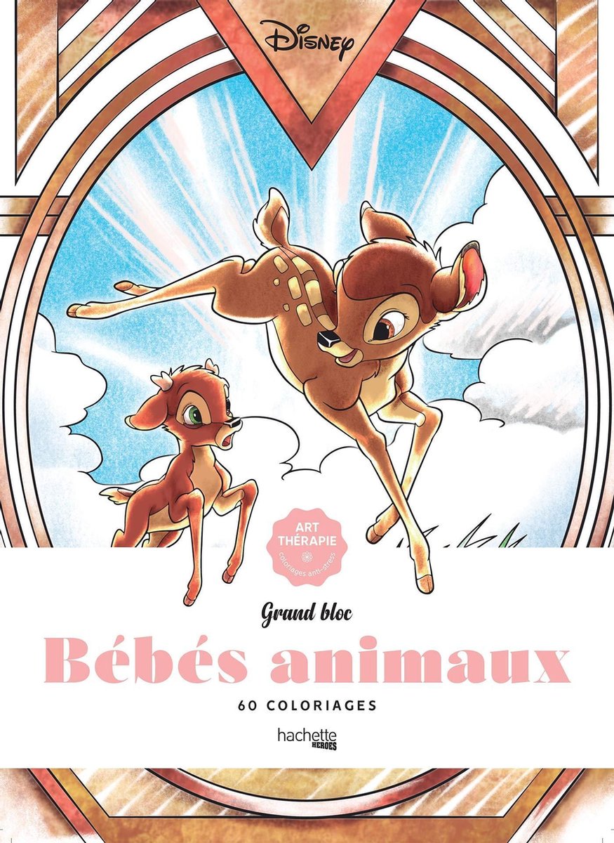 Hachette heroes Disney Grand bloc Bébés animaux Kleurboek voor volwassenen