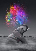 Happy Painter XL 40x50cm Diamond Painting volwassenen dieren - Kleurrijke olifant - volledig pakket vierkante steentjes