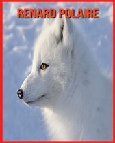 Renard Polaire