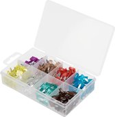 200-delig assortiment mini steekzekeringen