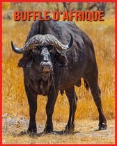 Buffle d'Afrique