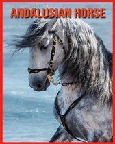 Andalusian Horse