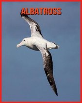 Albatross