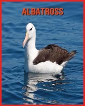 Albatross