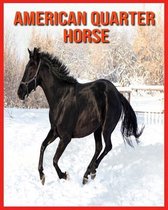 American Quarter Horse