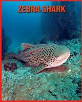 Zebra Shark