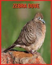 Zebra Dove