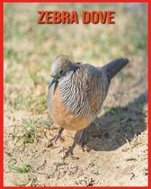 Zebra Dove