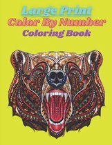 Large Print Color By Number Coloring Book