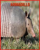Armadillo