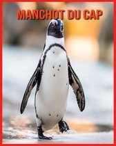 Manchot du Cap