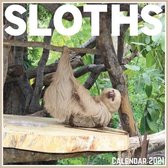 Sloths Calendar 2021