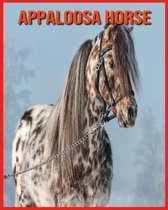 Appaloosa Horse