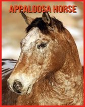 Appaloosa Horse