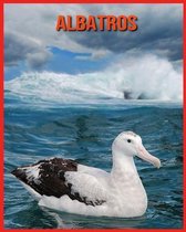 Albatros