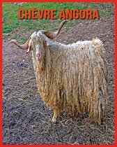 Chevre Angora