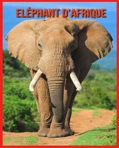 Elephant d'Afrique