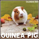 Guinea Pig Calendar 2021