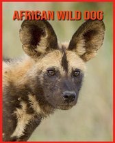 African wild dog