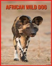African wild dog