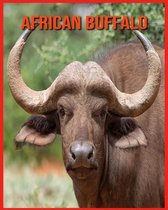 African Buffalo