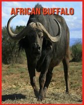 African Buffalo