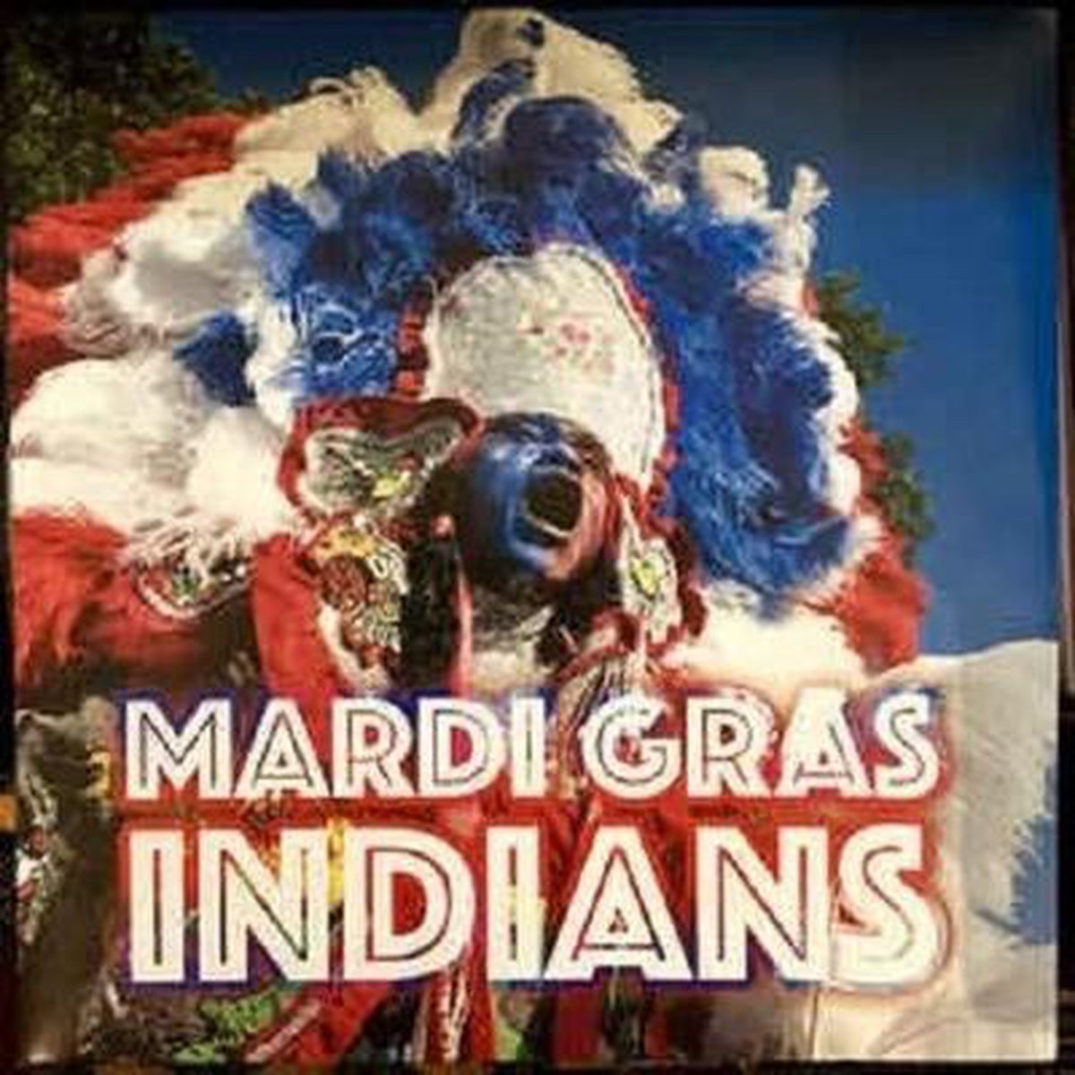 Mardi Gras Indians [2018]