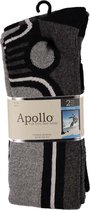 Thermo - Full Terry - Skisokken - 2 Paar - Maat 36-41