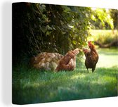 Canvas Schilderijen - Kippen op zoek naar voedsel bij heg van klimop - 40x30 cm - Wanddecoratie