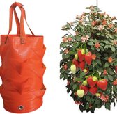 Aardbeien Planten Hanger - Kweekzak - Verticaal Tuinieren - Hangtuintje - 10 Vakken - 20 x 30 CM - Vaderdag