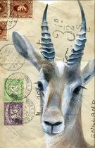 Dubbele kaart met env. Antilope 11,5x17,5cm
