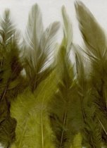Creative Feathers 8,5-15cm 15pcs forest