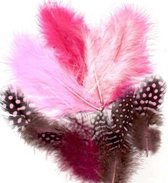 Vaessen Creative Marabou - feathers & guinea fowl - 5-13cm - Girl