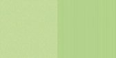 Dini Design Scrappapier 10 vl Streep ster - Lime groen 30,5x30,5cm #1003