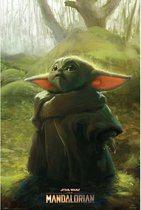 Mandalorian poster - The Child - Yoda - Star Wars - 61 x 91,5 cm