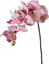 Viv! Home Luxuries Orchidee Phalaenopsis - zijden bloem - roze - 70cm - topkwaliteit