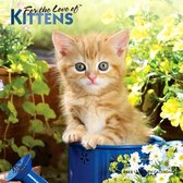 Kittens, for the Love of 2022 Mini