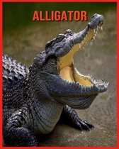 Alligator: Erstaunliche Fakten über Alligator