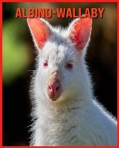 Albino-Wallaby