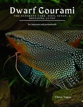 Dwarf Gourami