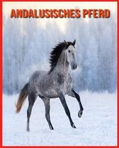 Andalusisches Pferd