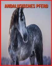 Andalusisches Pferd