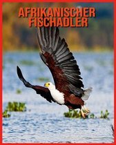 Afrikanischer Fischadler