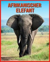Afrikanischer Elefant