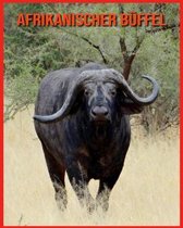 Afrikanischer Buffel